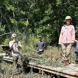 Park Cleanup