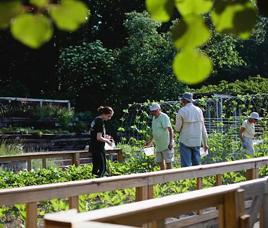Bruno Vegetable Garden and 
Herb Terrace Tour
