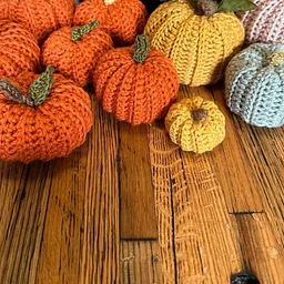 Get Hooked: An Introduction to Crochet