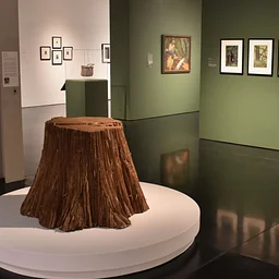 Afternoon Curator Tours