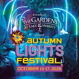Autunm Lights Festival