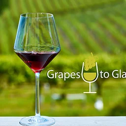 Grapes to Glass: The More You Pinot