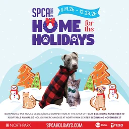 Home for the Holidays 2026