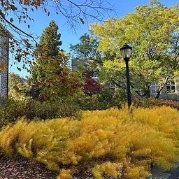 Hidden Gardens: A Fall Celebration