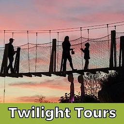 Twilight Tours on the Canopy Tour