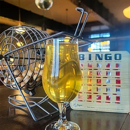 November Bingo Night