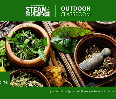STEAM Outdoors with Sprout and Blossom: Plant Medicine