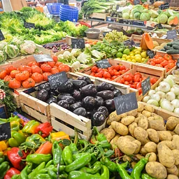 Siesta Key Farmers Market