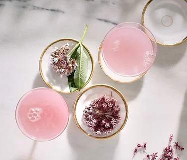 Wild Mixology with Laura Chávez Silverman