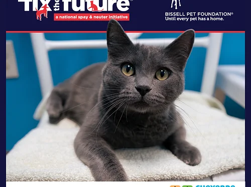 BISSELL Spay Day - Cats Only