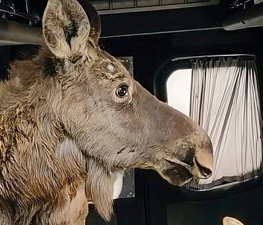 Checkpoint Zoo w/ Director/Writer/Producer Joshua Zeman