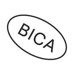 The Buffalo Institute for Contemporary Art