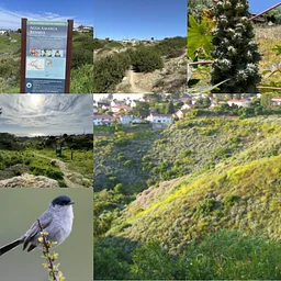 Los Serenos Nature Walk - December 2026 (Agua Amarga Reserve - Posey Trailhead)