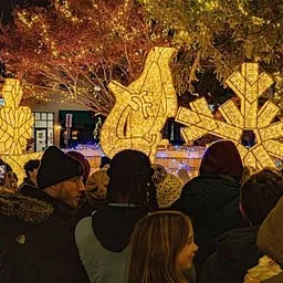 Illuminate Northbrook & Museum Open House