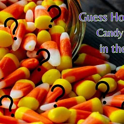 Guess How Many?