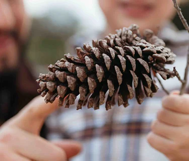 Gardening with Kids: Senses in the Winter Garden