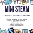 Mini STEAM Force and Motion