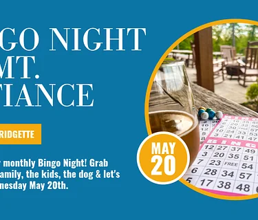 Bingo Night