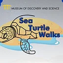 2026 Sea Turtle Walks