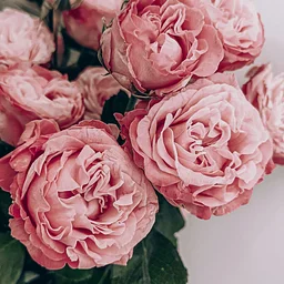 Floral Arranging with Bespoke Events