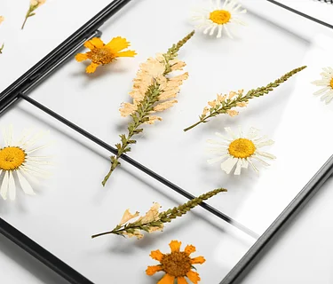 Pressed Flower Floating Frames