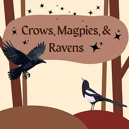 Crows, Magpies, & Ravens