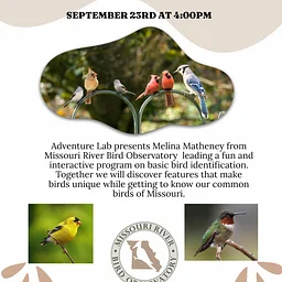 Bird ID Program