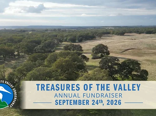 Treasures of the Valley