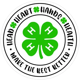 San Francisco Valley 4H Meeting