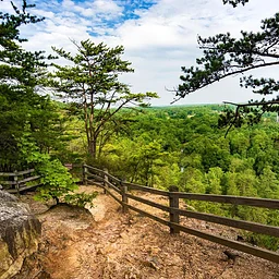 Botanizing at Occoneechee Mountain