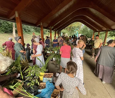 Fall Plant Swap