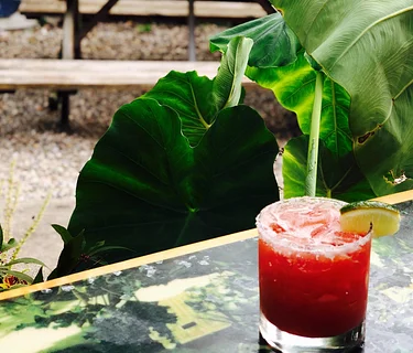 Tequila & Pupusa Tuesday w/ PACAYA