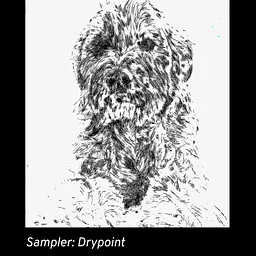 Sampler Session: Drypoint