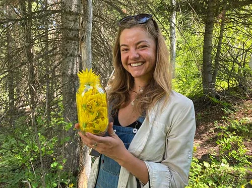 Arnica wildcrafting and salve making with Marco Lam, June 9th, 2026