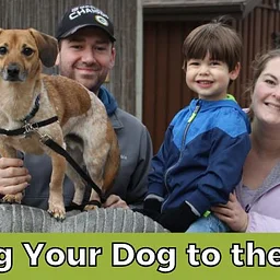 Bring Your Dog to the Zoo
