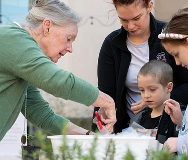 Family Day – Pretty Pollinators