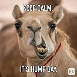 Half Price Hump Day at Helping Hands!