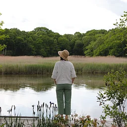 MINDFULNESS EVENT: Forest Bathing Along the Artists’ Trail