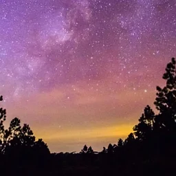 Yoga Under The Stars – Summer Series 1, Week 6
