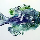Fish Printing