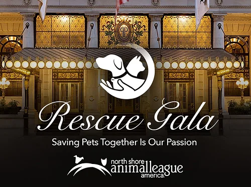 RSVP Today for Our 2026 Rescue Gala