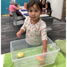 Play & Learn: Pumpkins (In-Person)