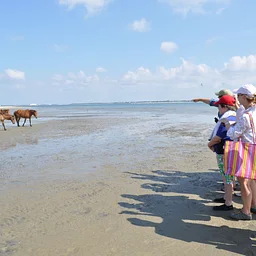 Hiking and History on Shackleford Banks