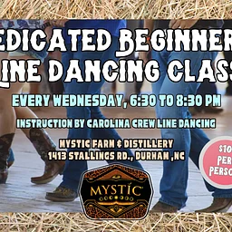 Dedicated Beginner Line Dance Class
