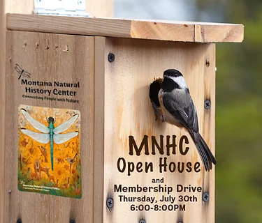 MNHC Open House!