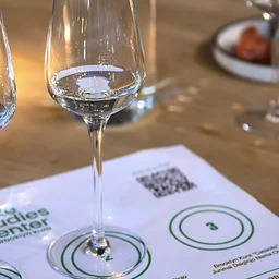 Introduction to Sake Tasting Class and Brewery Tour