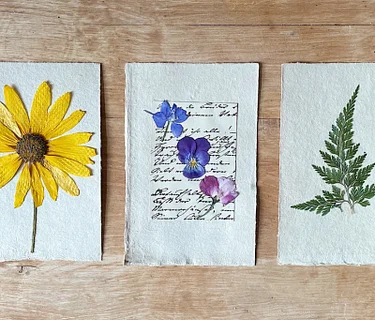 Pressed for Beauty: A Flower Pressing Workshop