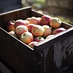 Franklin County CiderDays
