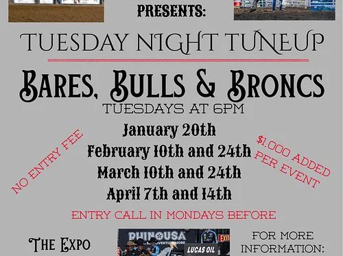 Bares, Bulls & Broncs