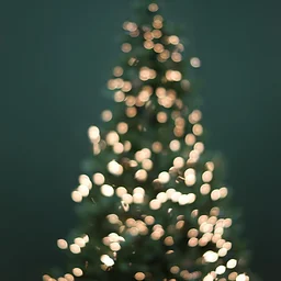 Christmas Day and Day After (Boxing Day - CA)